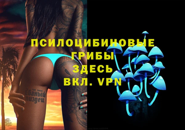 прущие крисы Алексин