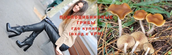 прущие крисы Алексин
