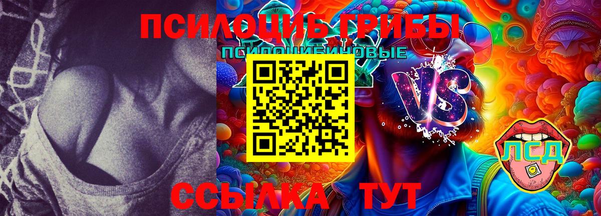 Псилоцибиновые грибы Cubensis  Вход с VPN  где продают   Алексеевка 